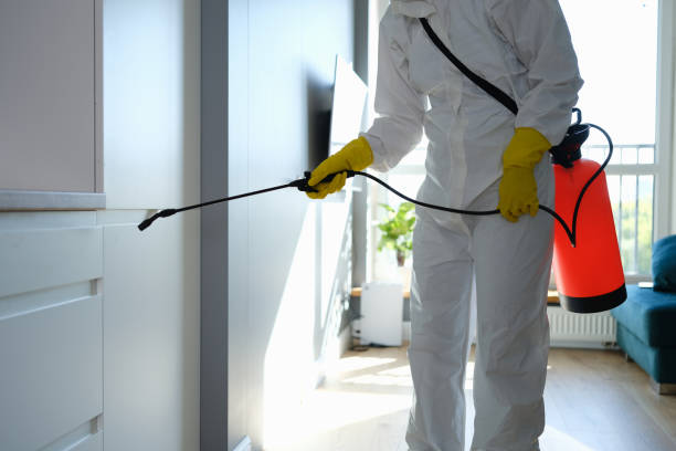 Best Mold Remediation Services  in Winchester, MO